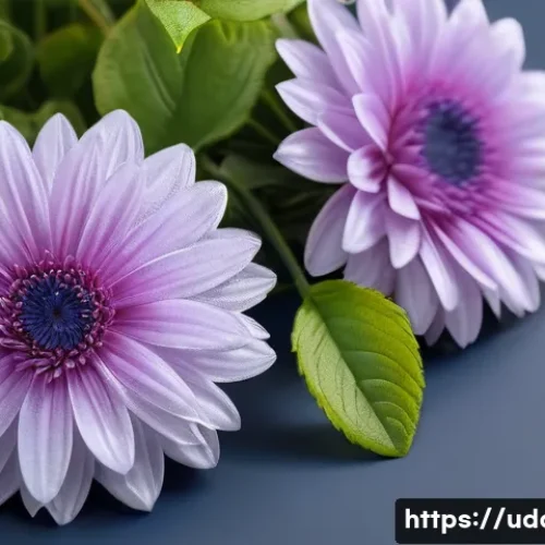 Home 26 워터파크 스파 데이트 관련 이미지 1