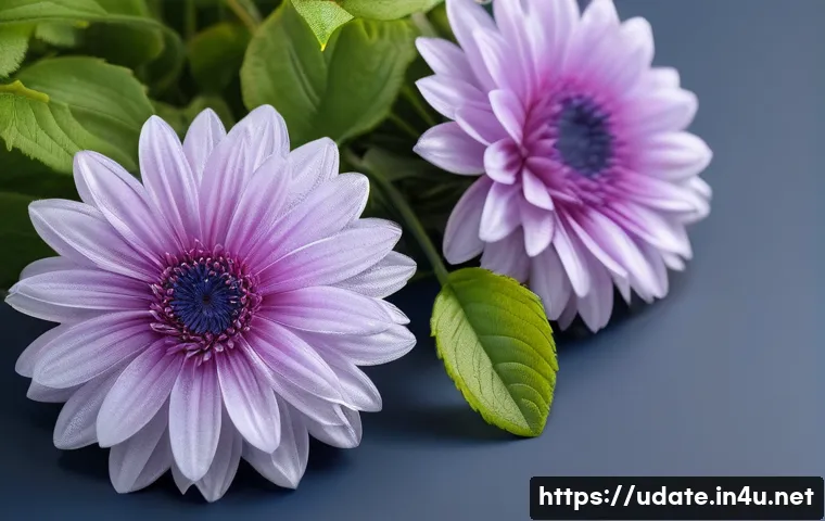 워터파크   스파 데이트 관련 이미지 1